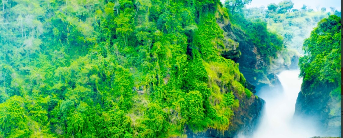 Scenic view of Murchison Falls National Park with the powerful Murchison Falls waterfall cascading over rocky terrain.