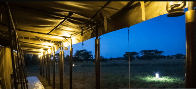 night-safari-tanzania Best Night Safari Experiences in Tanzania: A Journey into the Wild After Dark