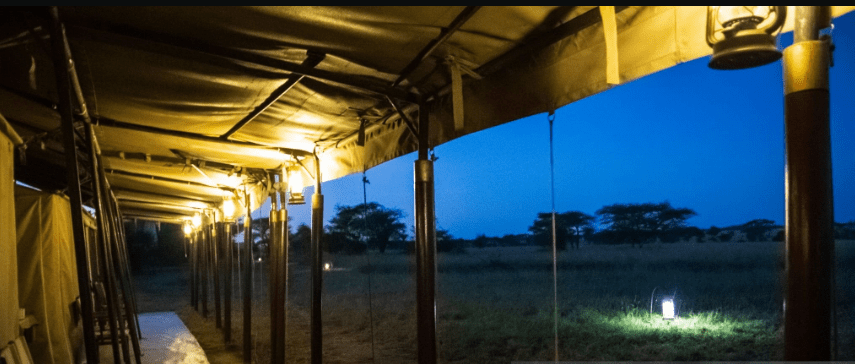 Best Night Safari Experiences in Tanzania: A Journey into the Wild After Dark