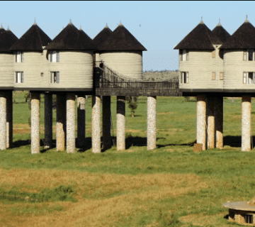 Best Safari Lodges for Wildlife Photography in Kenya