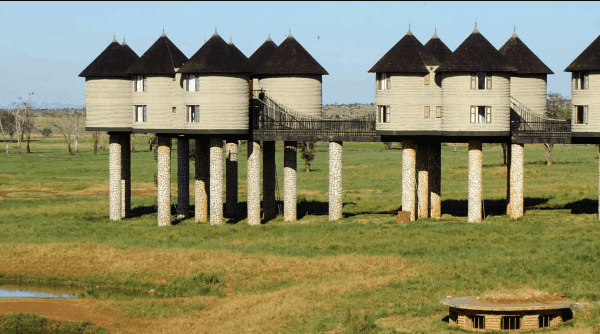 Best Safari Lodges for Wildlife Photography in Kenya