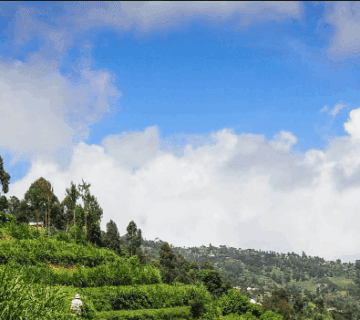 Are There Solo Hiking Options in Rwanda?