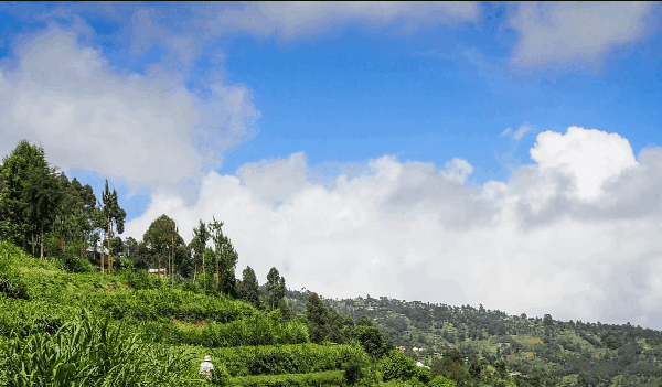Are There Solo Hiking Options in Rwanda?