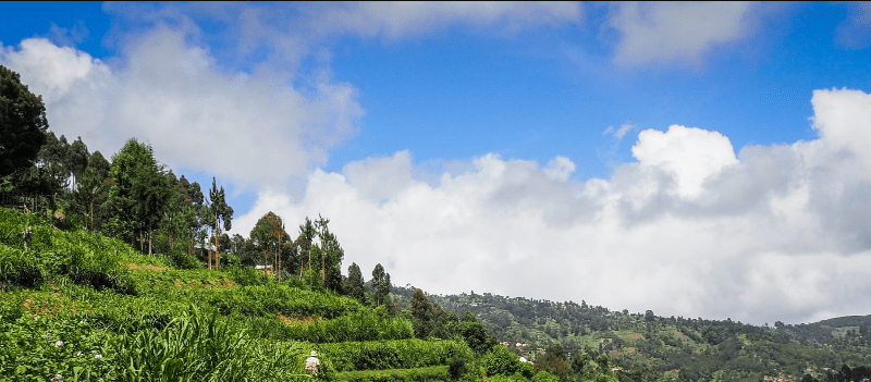 Are There Solo Hiking Options in Rwanda?