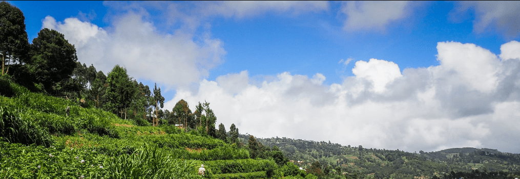 Are There Solo Hiking Options in Rwanda?