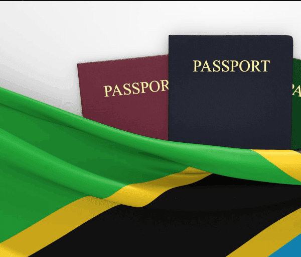 Tanzania visa 2025 requirements for tourists and business travelers