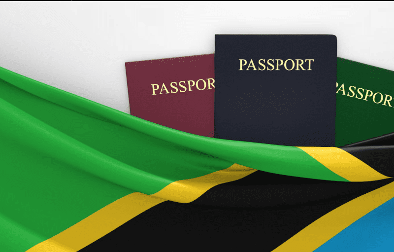 Tanzania visa 2025 requirements for tourists and business travelers