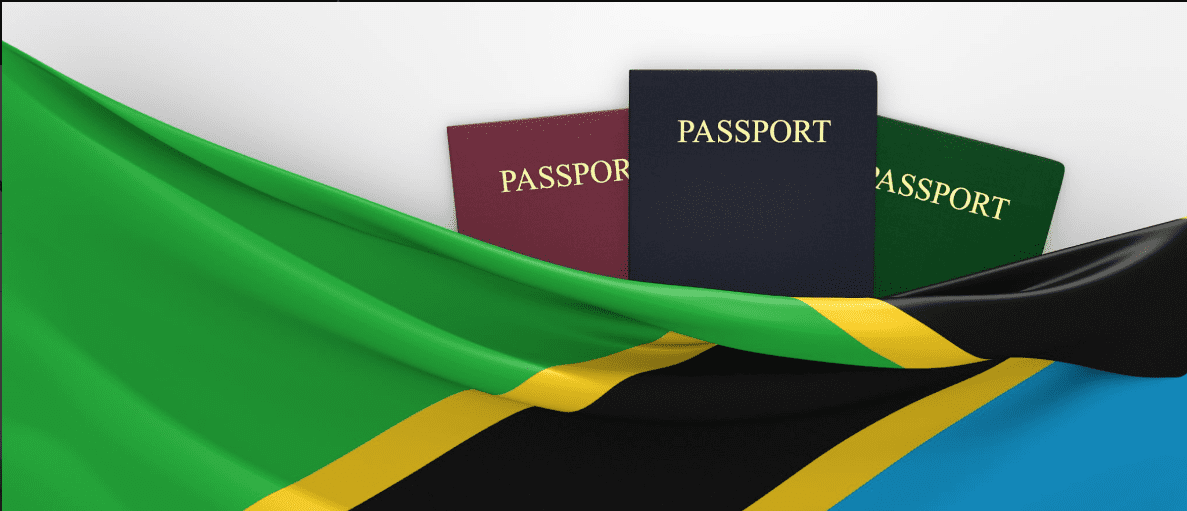 Tanzania visa 2025 requirements for tourists and business travelers