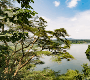 Can You Visit Multiple Parks in One Uganda Trip?