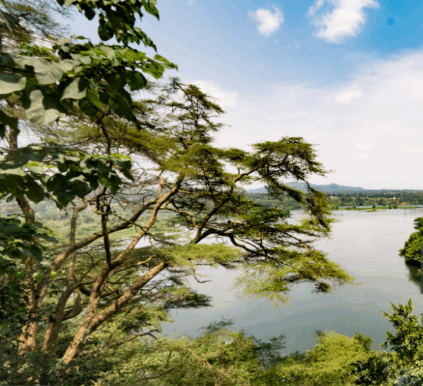 Can You Visit Multiple Parks in One Uganda Trip?