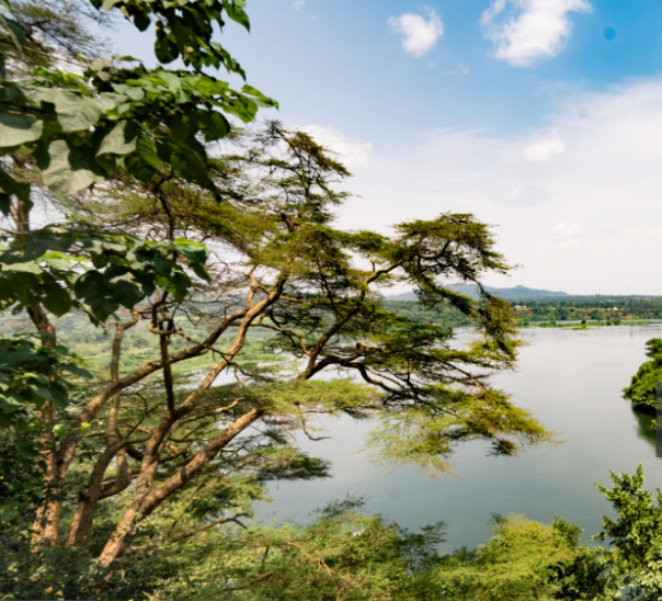 Can You Visit Multiple Parks in One Uganda Trip?