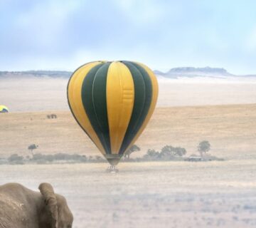 Experience the magic of hot air ballooning over Maasai Mara—unforgettable views, wildlife sightings, and sunrise serenity await 