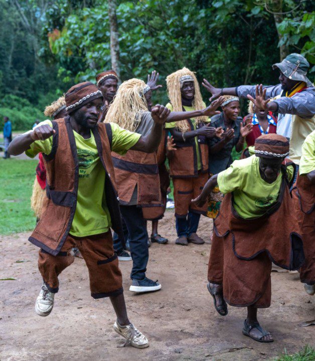 Batwa festival Batwa elders performing traditional dance in a forest clearing, showcasing rich cultural heritage and ancestral forest traditions.