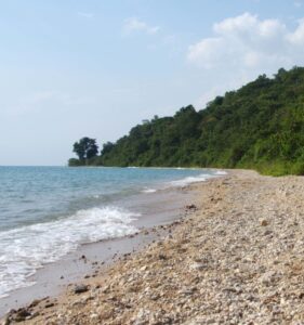 Panoramic view of Lake Tanganyika, showcasing its clear blue waters and stunning natural landscape.