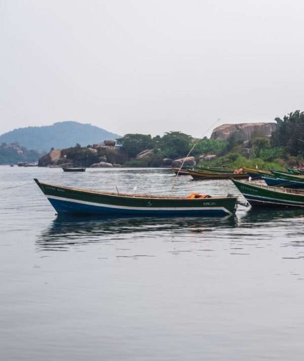 Lake Victoria at sunrise with calm waters and scenic backdrop.