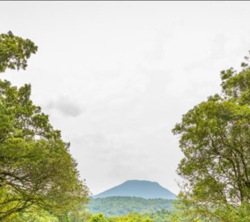 Scenic view of Mount Bisoke with lush green slopes and crater lake at the summit under a cloudy sky 