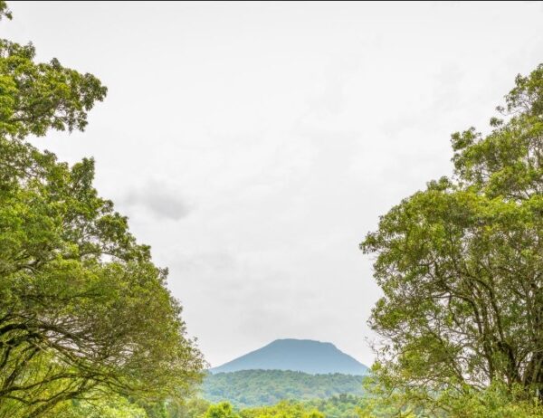 Scenic view of Mount Bisoke with lush green slopes and crater lake at the summit under a cloudy sky.