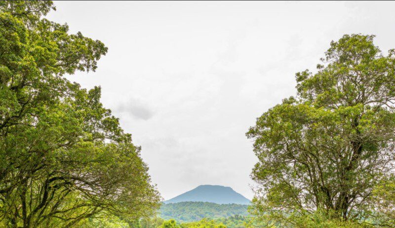Scenic view of Mount Bisoke with lush green slopes and crater lake at the summit under a cloudy sky.