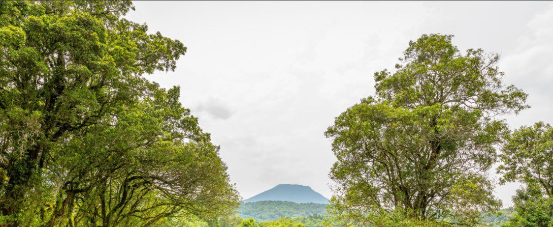 Scenic view of Mount Bisoke with lush green slopes and crater lake at the summit under a cloudy sky.