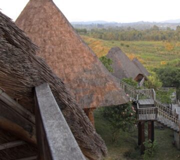 Exploring the fascinating caves in Uganda, showcasing unique geological formations and rich natural beauty 