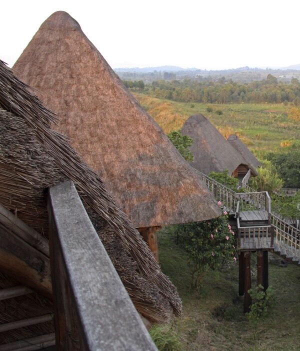 Exploring the fascinating caves in Uganda, showcasing unique geological formations and rich natural beauty.