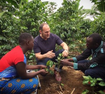 Fresh Rwandan Arabica coffee beans being roasted at a speciality coffee roastery in Kigali 