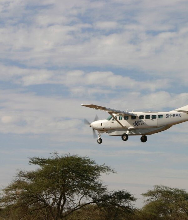 Explore Tanzania's domestic flights for quick, comfortable access to safari destinations, stunning landscapes, and unforgettable adventures.