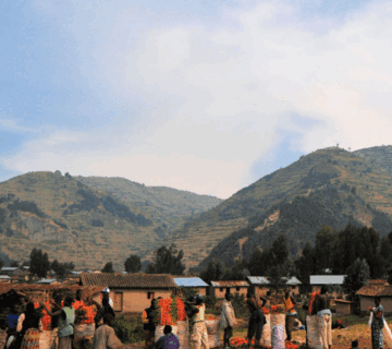 Best East African Country for Vegan Travelers: A Journey of Compassion and Discovery