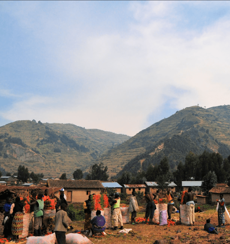 Best East African Country for Vegan Travelers 1 Best East African Country for Vegan Travelers: A Journey of Compassion and Discovery