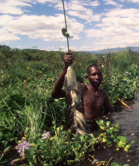 A fisherman casting his line in the scenic waters of Kenya, surrounded by nature and wildlife.