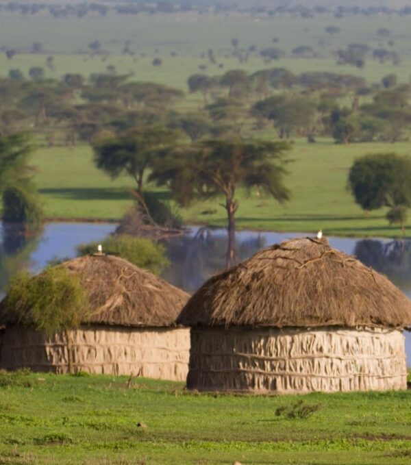Luxury glamping tent in the Masai Mara with stunning wildlife views and comfortable amenities for a unique safari experience.