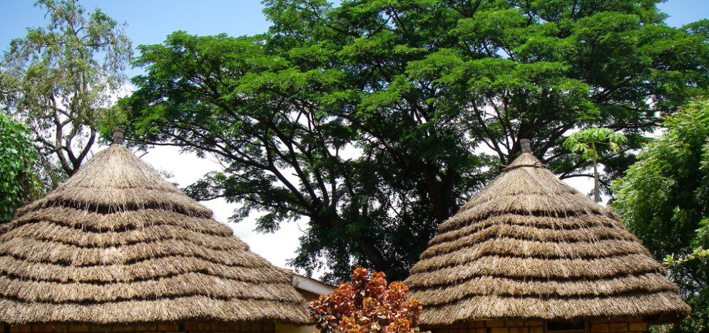Ugandan homestay experience with a local family in rural Uganda.