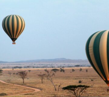 Hot air balloon floating over the Serengeti plains at sunrise with wildlife visible below 