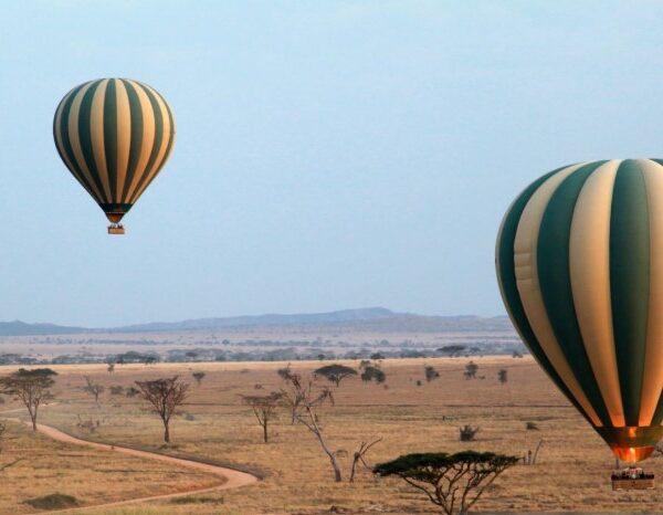 Hot air balloon floating over the Serengeti plains at sunrise with wildlife visible below.