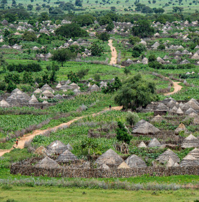 What is the Best Cultural Festivals in Uganda? 1 A scenic view of a traditional Karamoja village in northeastern Uganda, with round mud huts, livestock grazing nearby, and the rugged landscape of the region in the background.