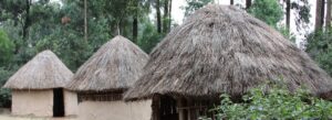 Rustic mountain huts on Mount Kenya nestled in alpine terrain, offering shelter and rest for hikers.