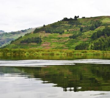 Scenic view of Lake Bunyonyi surrounded by lush green hills and traditional Ugandan village homes 