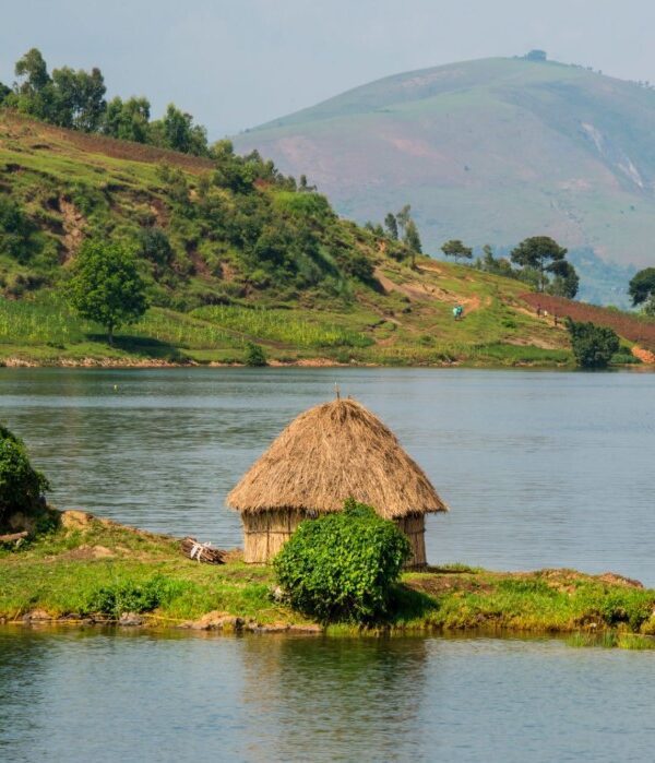 Scenic view of Lake Kivu, showcasing its clear waters and surrounding lush hills, home to diverse fish species.