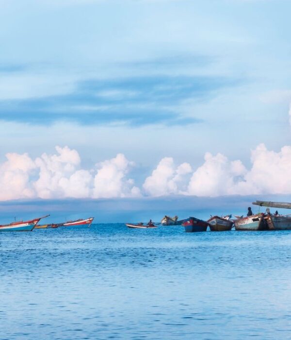 Scenic view of Lake Tanganyika with clear waters and lush surroundings, reflecting the beauty of Africa.