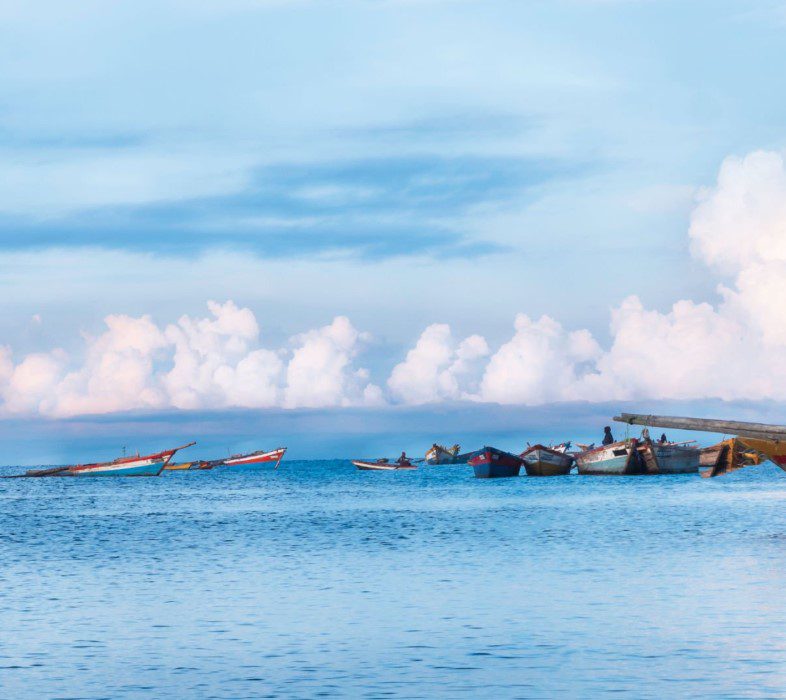 Scenic view of Lake Tanganyika with clear waters and lush surroundings, reflecting the beauty of Africa.