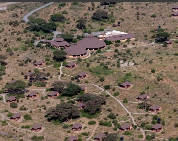 ChatGPT said: Luxury lodge overlooking Serengeti plains with wildlife in view