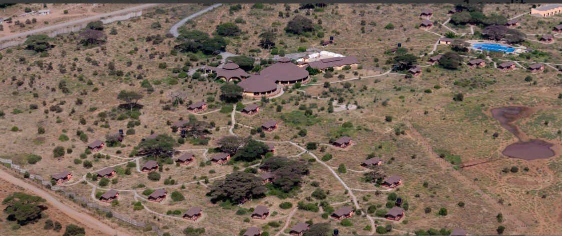 ChatGPT said: Luxury lodge overlooking Serengeti plains with wildlife in view