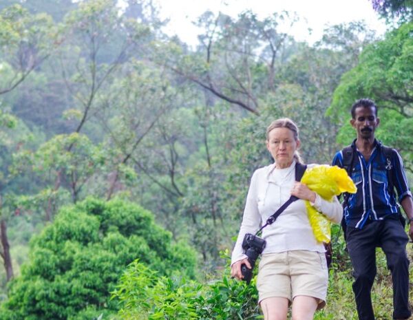 Hikers enjoying the scenic views while trekking Mount Elgon's lush trails and diverse landscapes