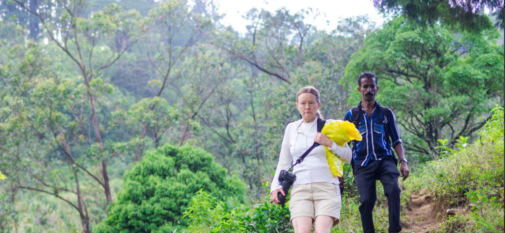 Hikers enjoying the scenic views while trekking Mount Elgon's lush trails and diverse landscapes