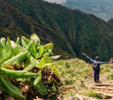 A breathtaking view of Mount Sabyinyo's jagged summit, located at the border of Uganda, Rwanda, and the DRC 