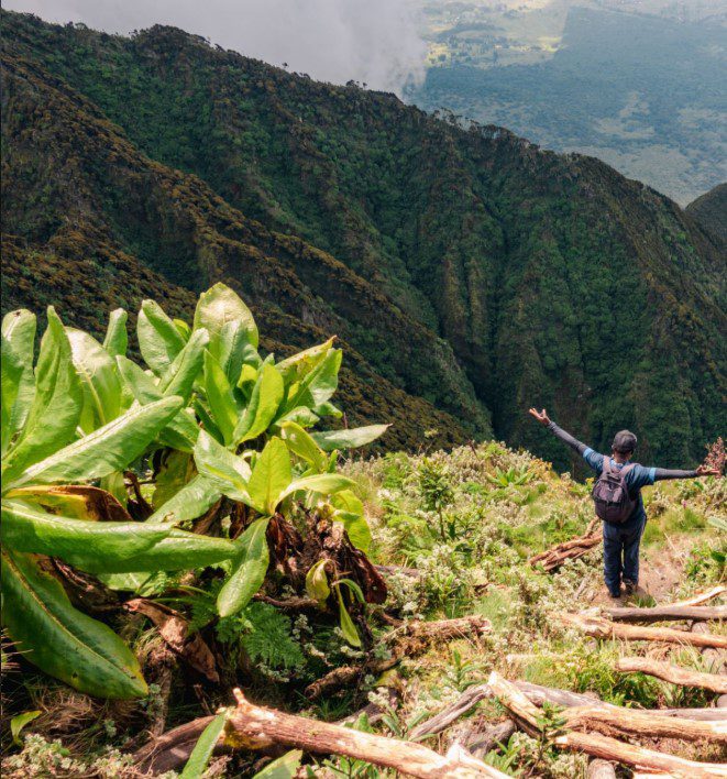 A breathtaking view of Mount Sabyinyo's jagged summit, located at the border of Uganda, Rwanda, and the DRC.