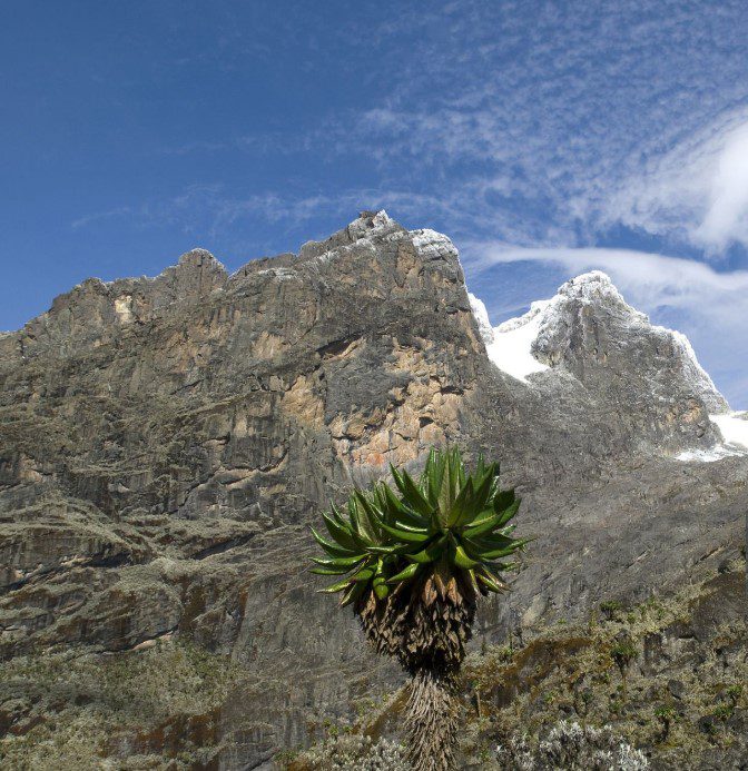 Majestic view of the Rwenzori Mountains, showcasing snow-capped peaks and lush green valleys.