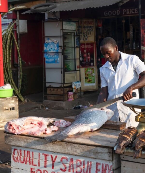 Fresh Nile Perch displayed on a market stall in Uganda, ready for sale to local customers and vendors.