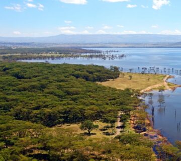 Peaceful view of Lake Nakuru 360x320