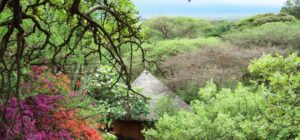 Are there Huts in Mount Kenya for Hikers? 3 Relaxing hut